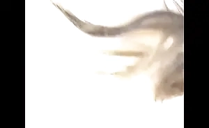 Se viene rico