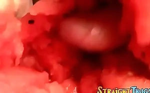 Three straight deviants fuck watermelons and sort out to cum